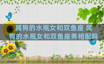属狗的水瓶女和双鱼座 属狗的水瓶女和双鱼座男相配吗